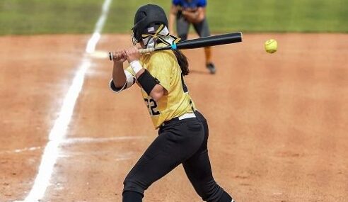 Best Softball Bats in 2023: Top Picks and Buyer’s Guides [Update]