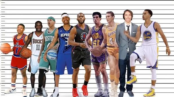 average nba height scottfujita 7